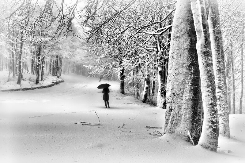 Person with Umbrella in Forest — Black, Serene