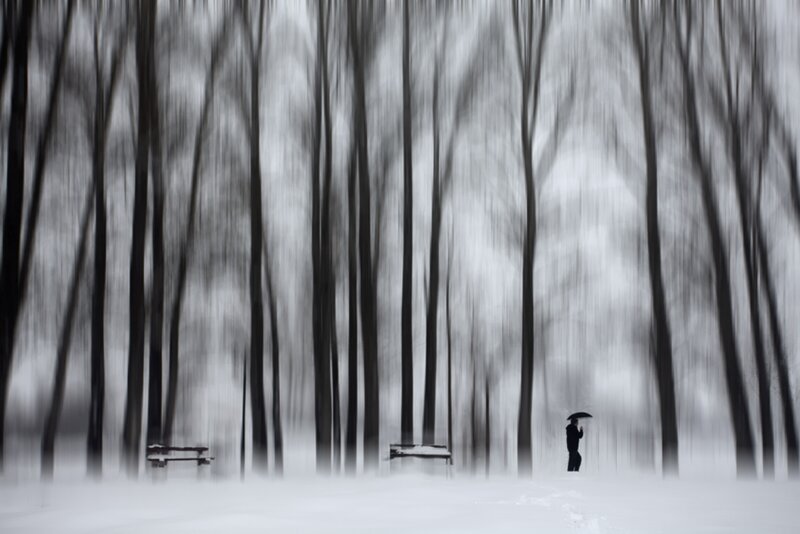 Person with Umbrella in Forest — Black
