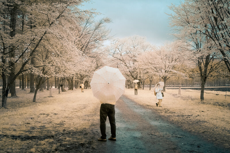 Person with Umbrella in Park — White