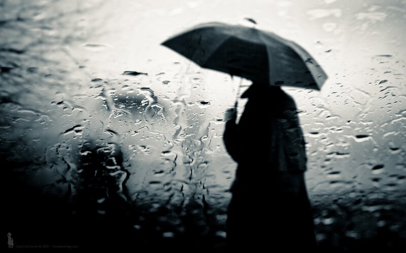 person with umbrella in rain