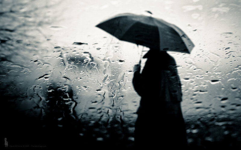 person with umbrella in rain