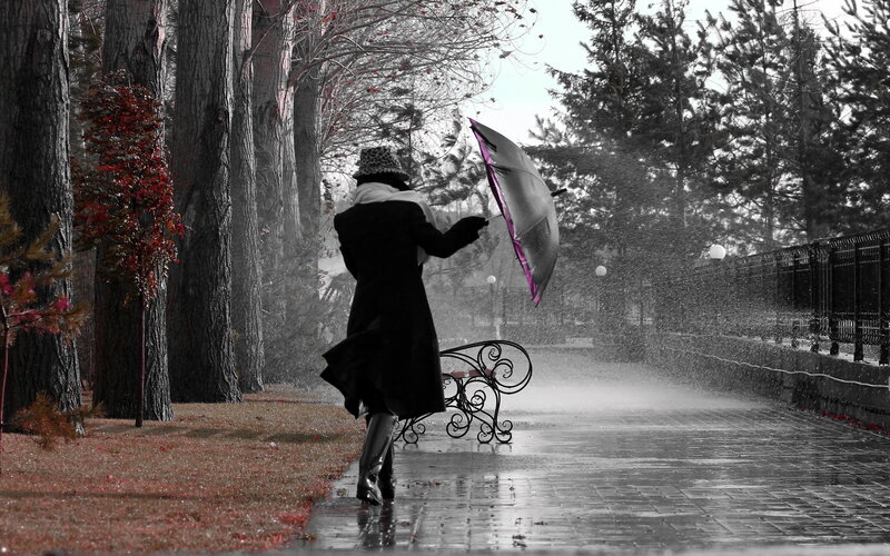Person with Umbrella in Rain — Black, Dramatic, Autumn