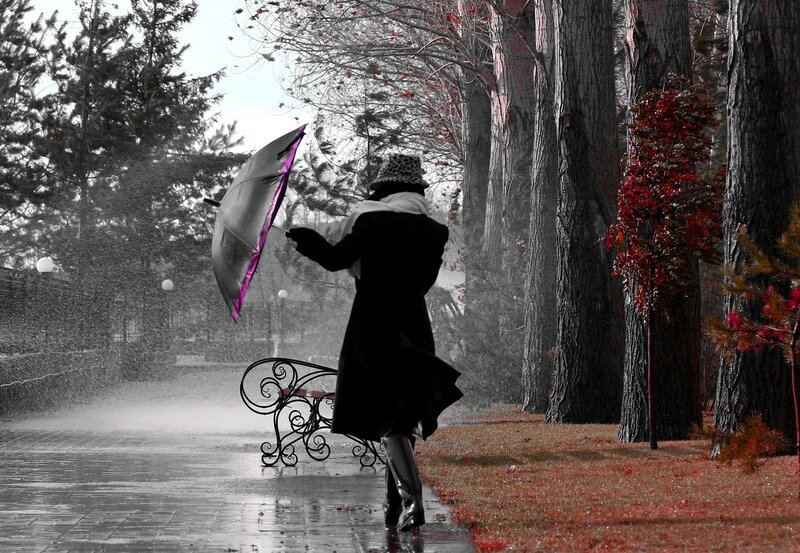 Person with Umbrella in Rain — Black, Dramatic