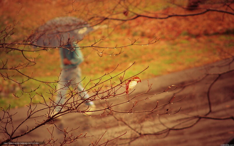 Person with Umbrella in Rain — Brown, Melancholic