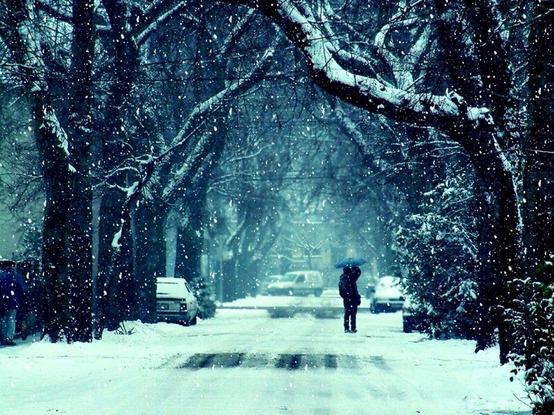 Person with Umbrella in Snow — Blue, Cold