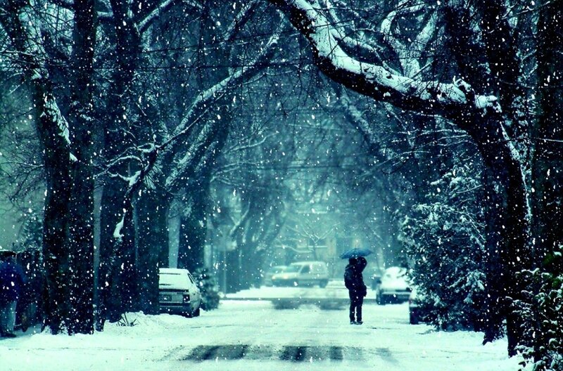 Person with Umbrella in Snow — Blue, Cold, Winter