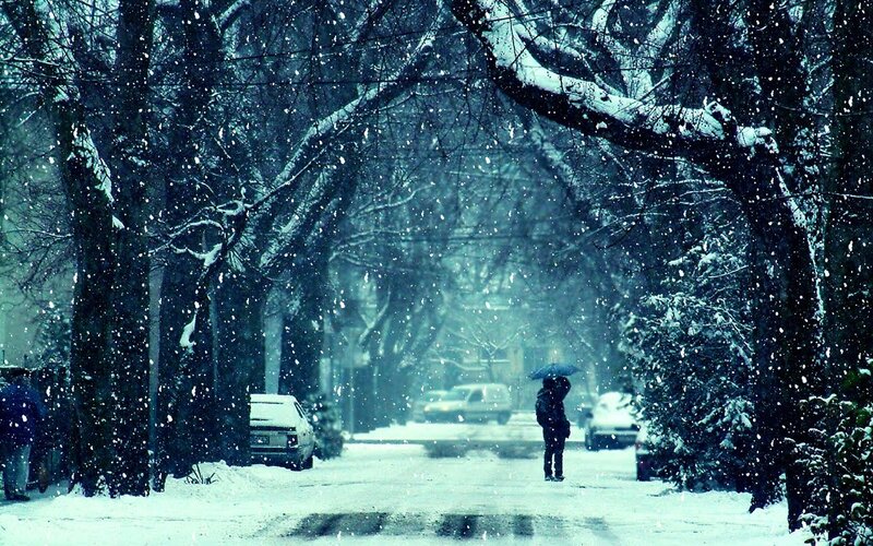 Person with Umbrella in Snow — Blue