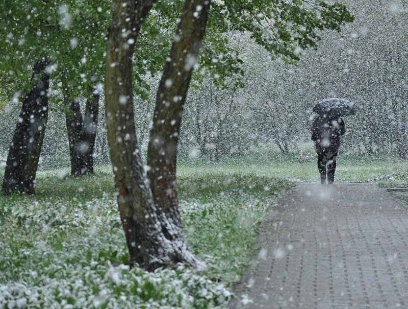 Person with Umbrella in Snow — Green