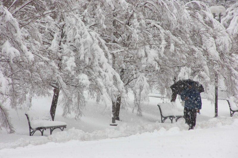 Person with Umbrella in Snow — White, Cold, Winter, Photograph, Trees, Benches