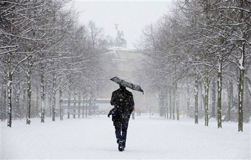 Person with Umbrella in Snow — White, Cold, Winter, Photograph, Trees