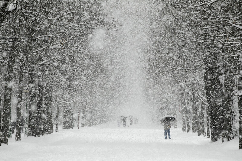 Person with Umbrella in Snow — White, Cold, Winter