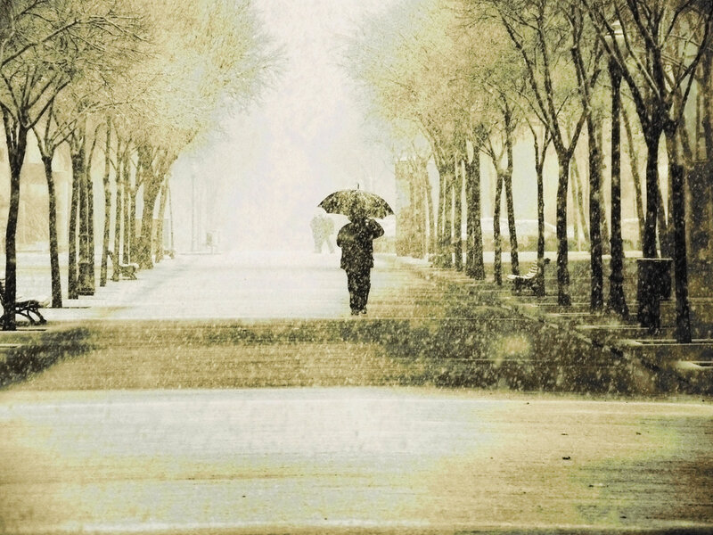 Person with Umbrella in Snow — White, Dreary