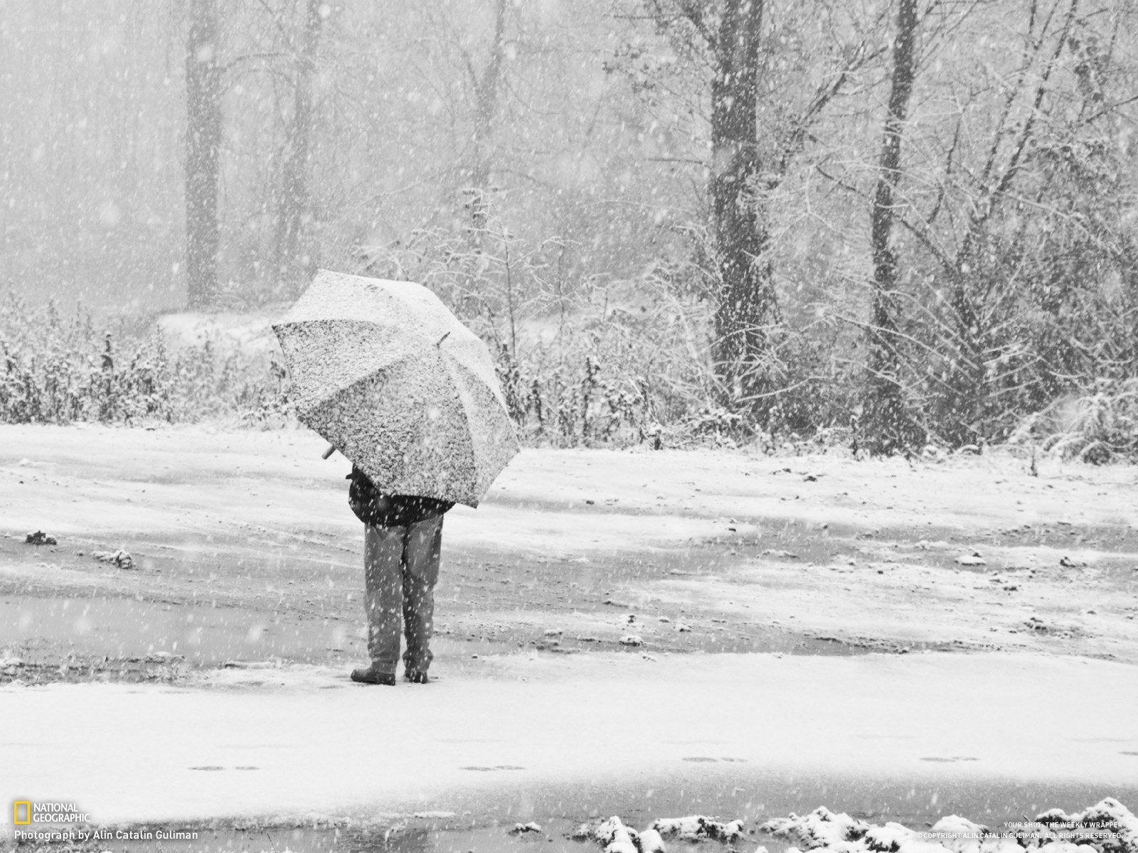 Person with umbrella in snowstorm