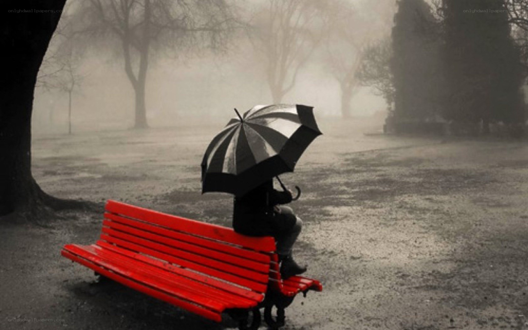 person with umbrella on bench