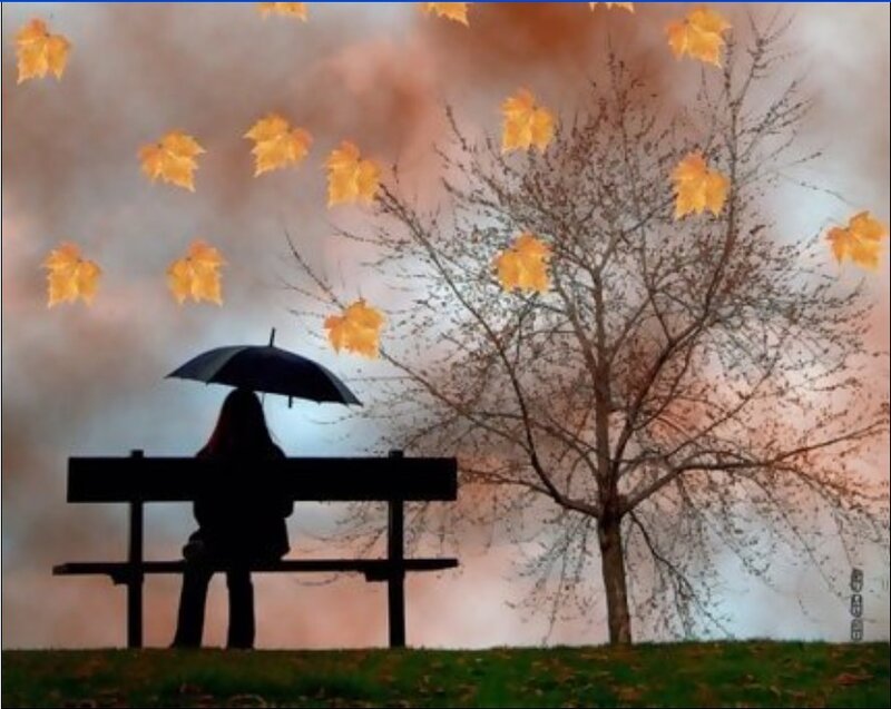 Person with umbrella on bench
