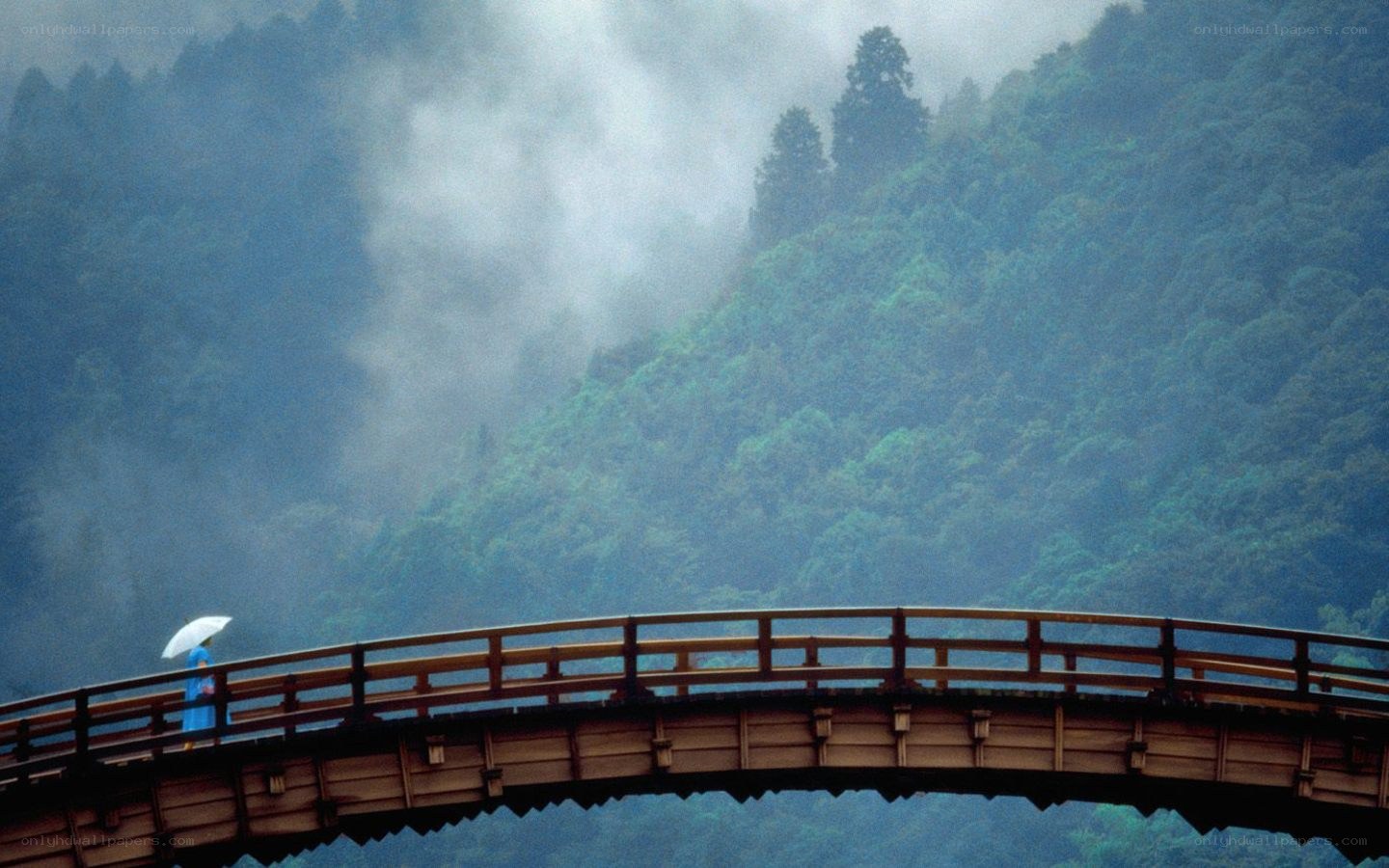 Person with umbrella on bridge