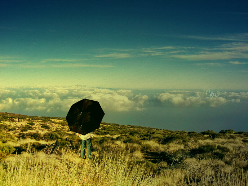 person with umbrella on hill