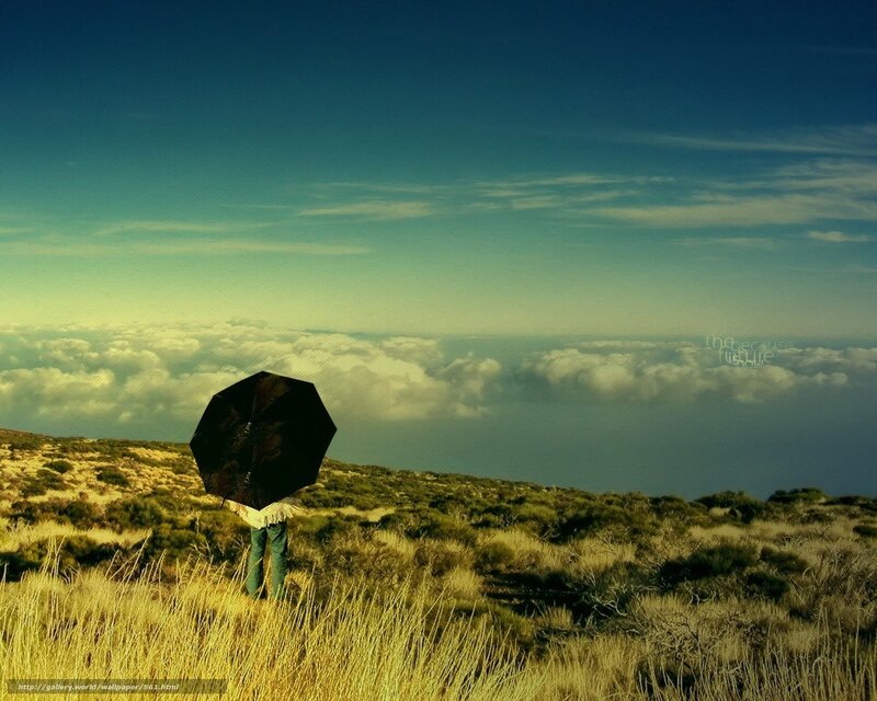 Person with umbrella on hill
