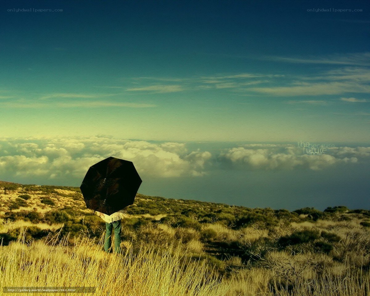 Person with umbrella on hill