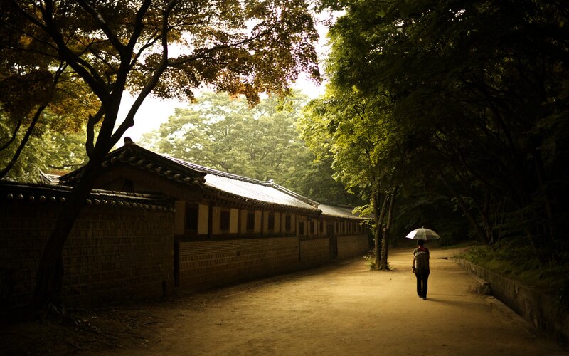 Person with umbrella on path