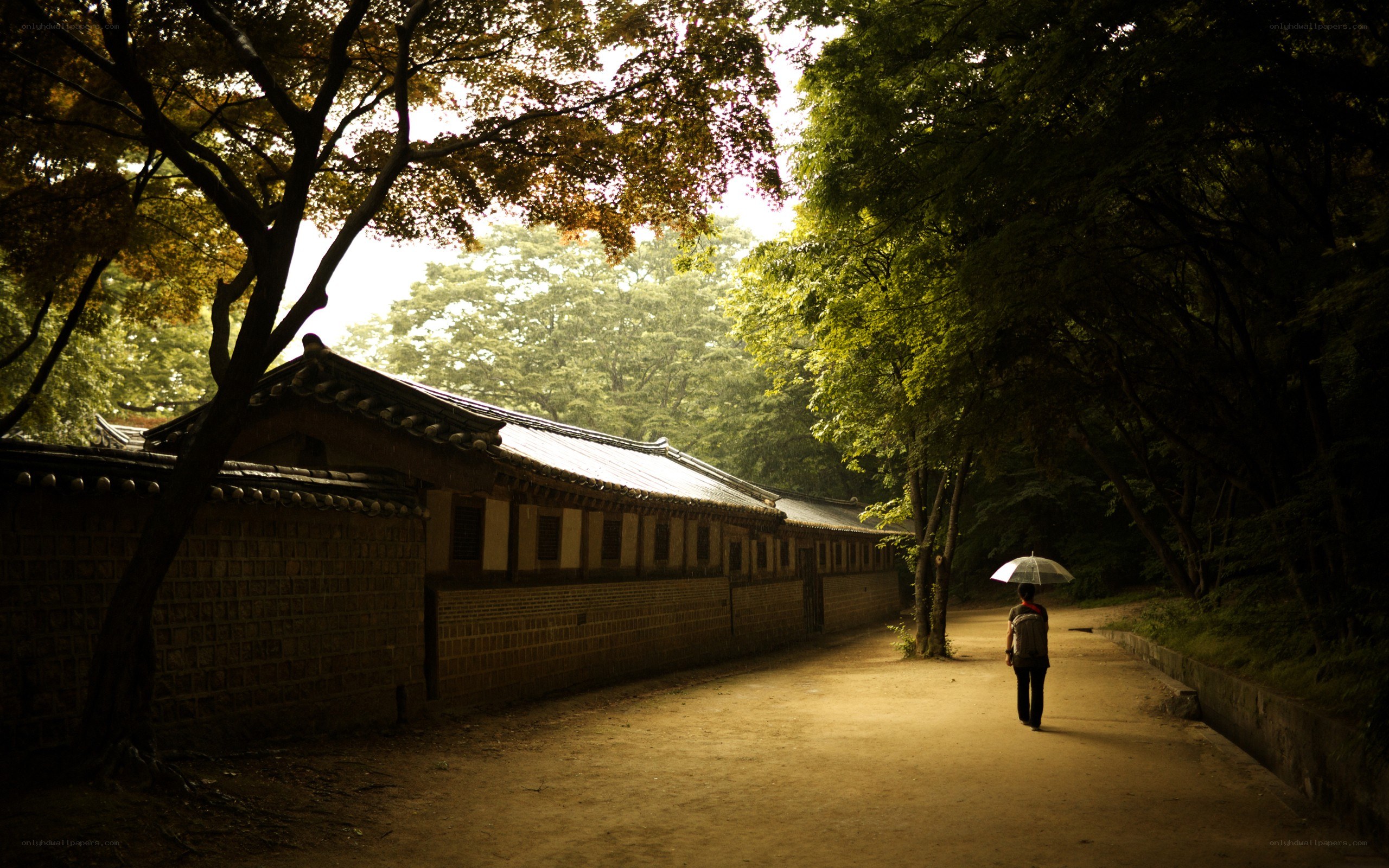 Person with umbrella on path