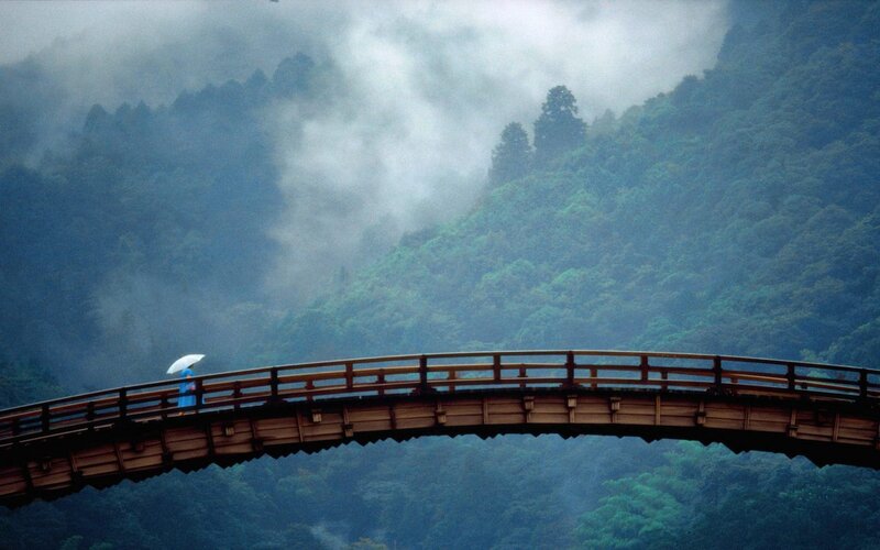 Person with umbrella on wooden bridge