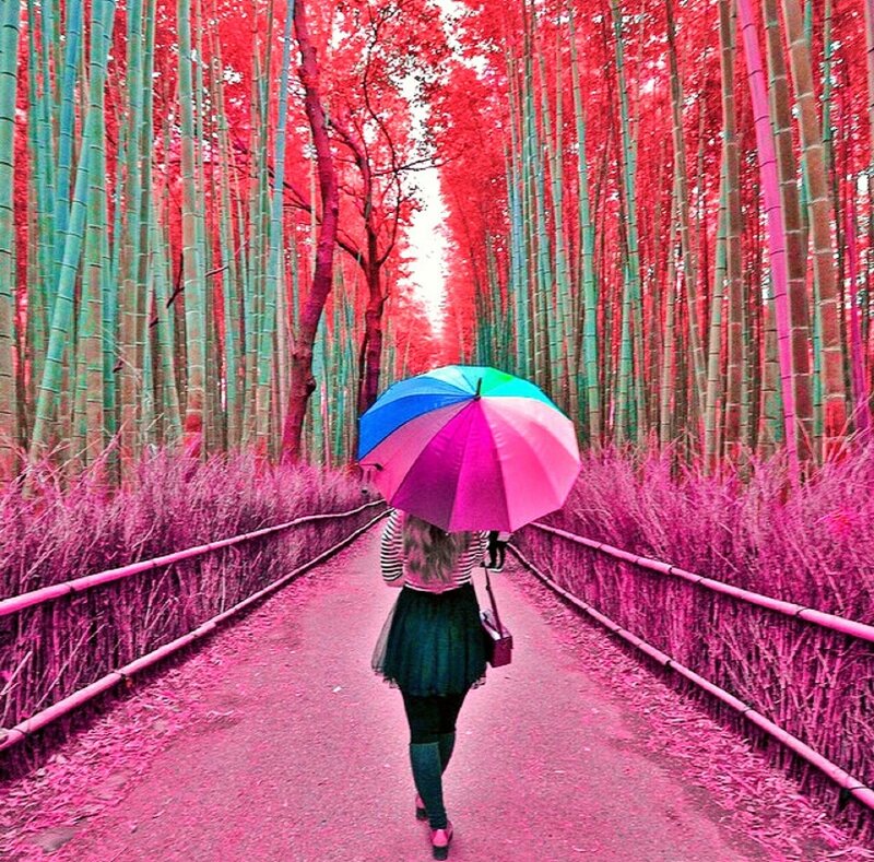 Person with Umbrella — Pink, Dreamy