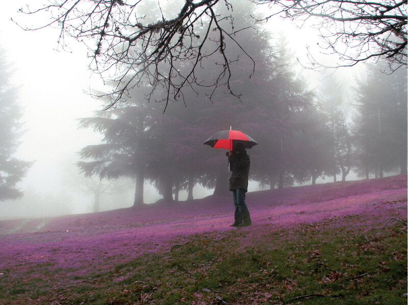 Person with Umbrella — Purple