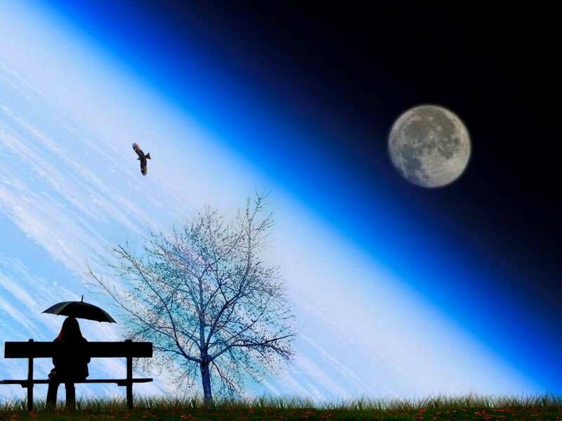 Person with umbrella under moonlight