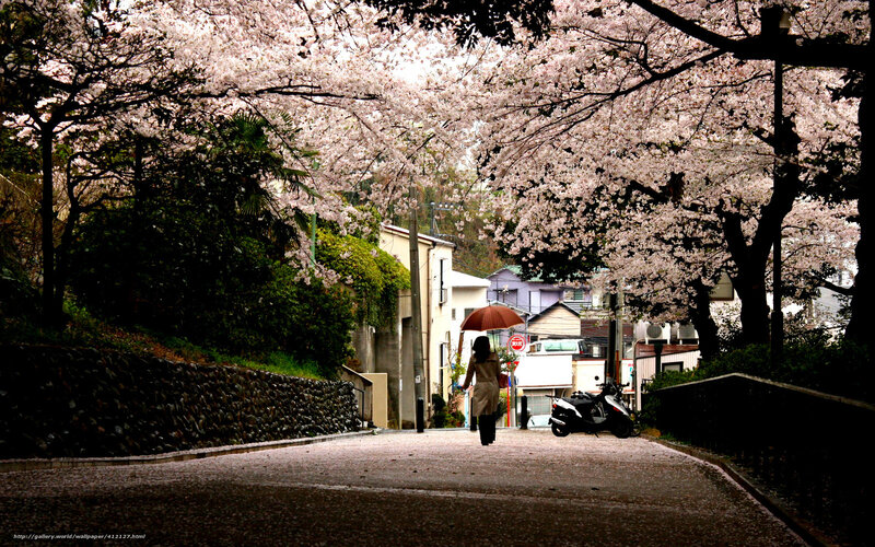 Person with Umbrella Walking — Pink, Serene