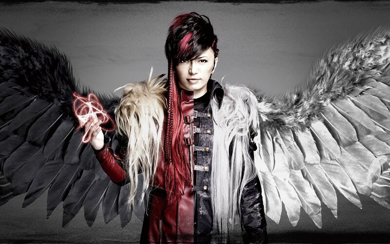 Person with Wings