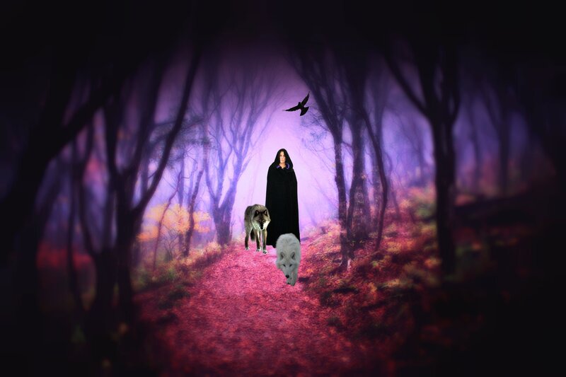 Person with Wolves in Forest