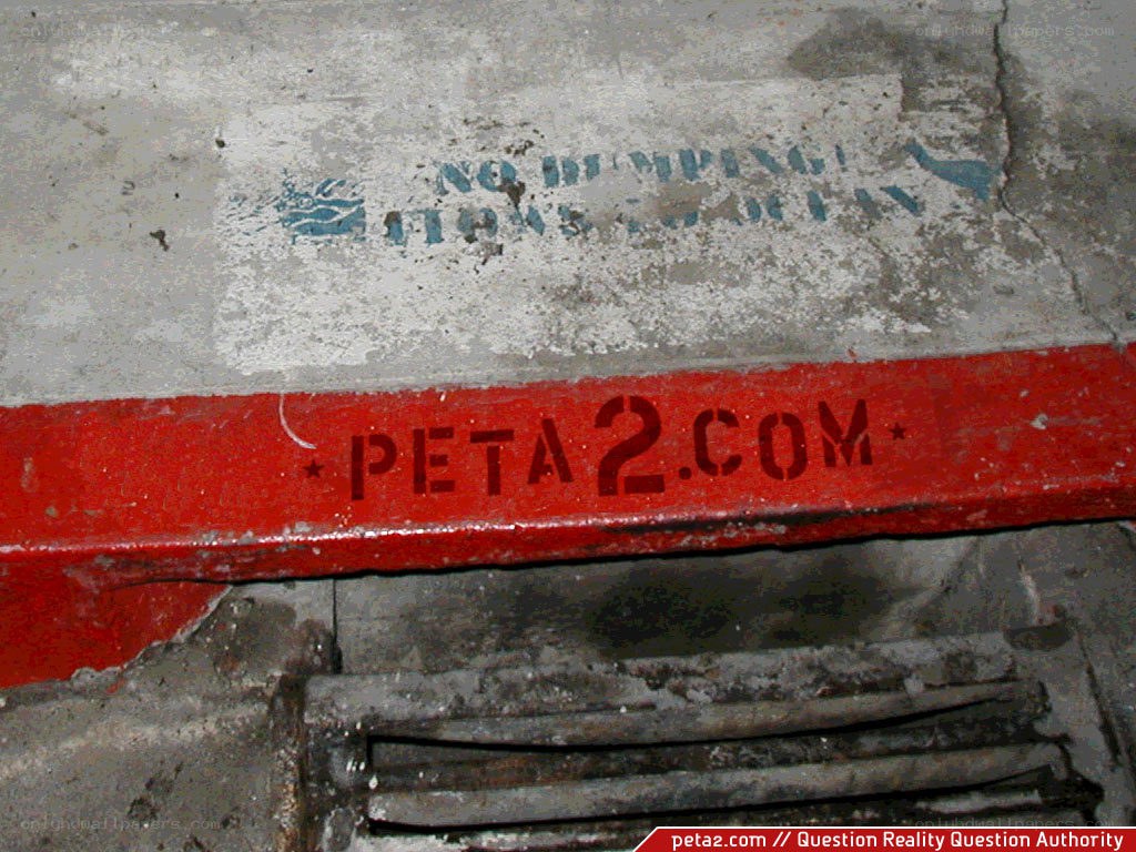 PETA2.com stenciled on red rail