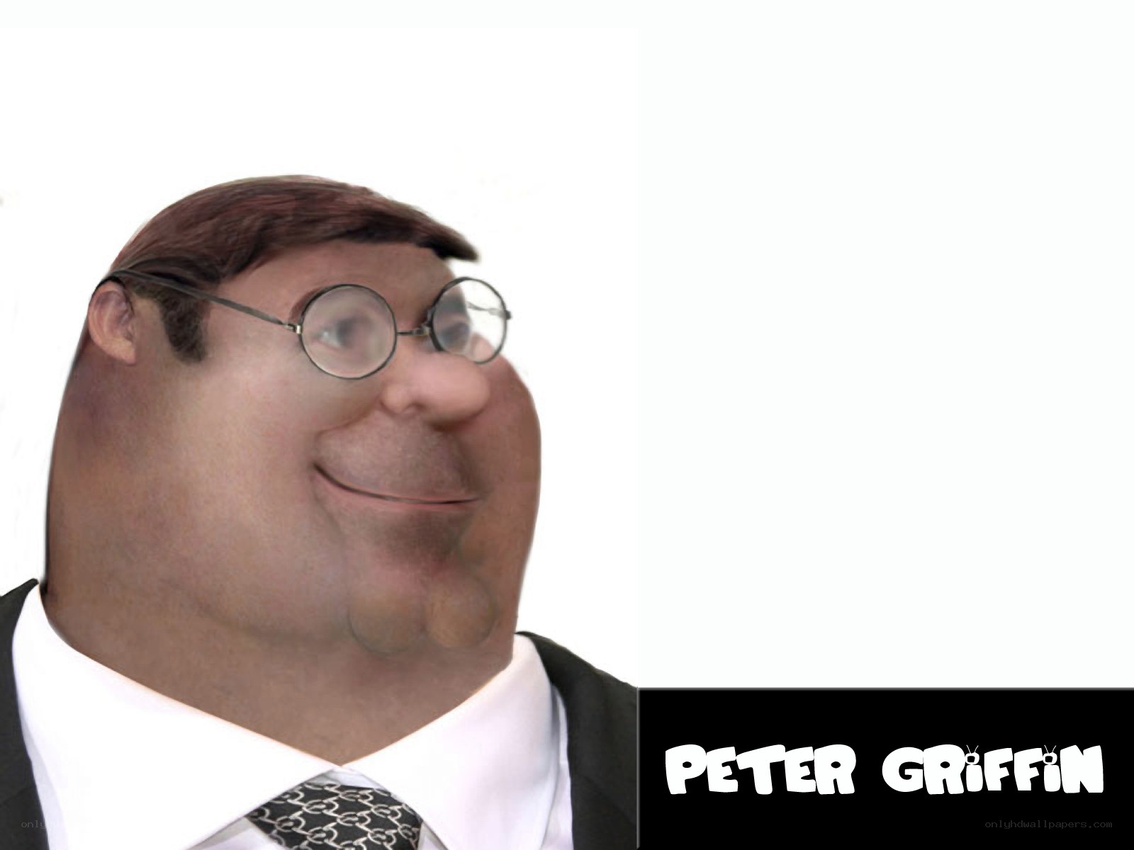 Peter Griffin character portrait