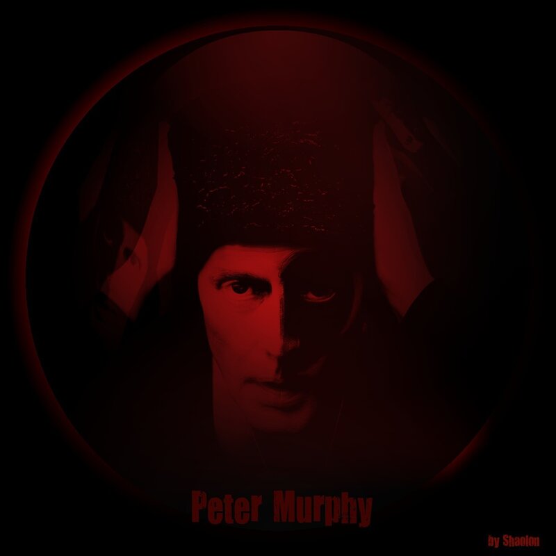 Peter Murphy portrait