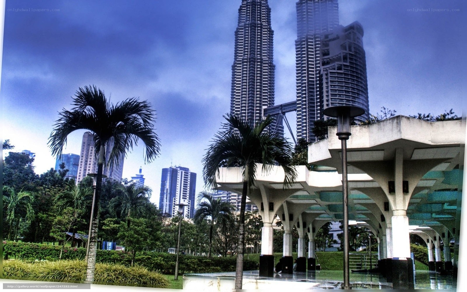 Petronas Towers and park