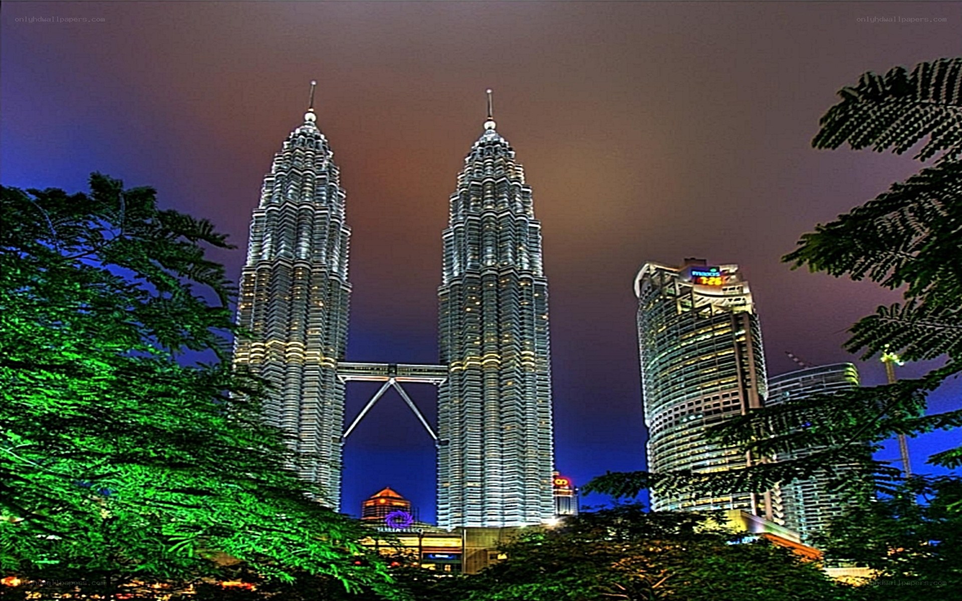 Petronas Towers at night