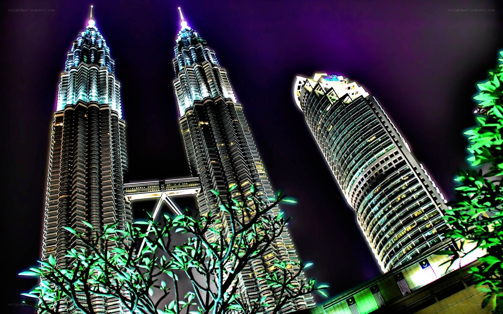 Petronas Towers at night