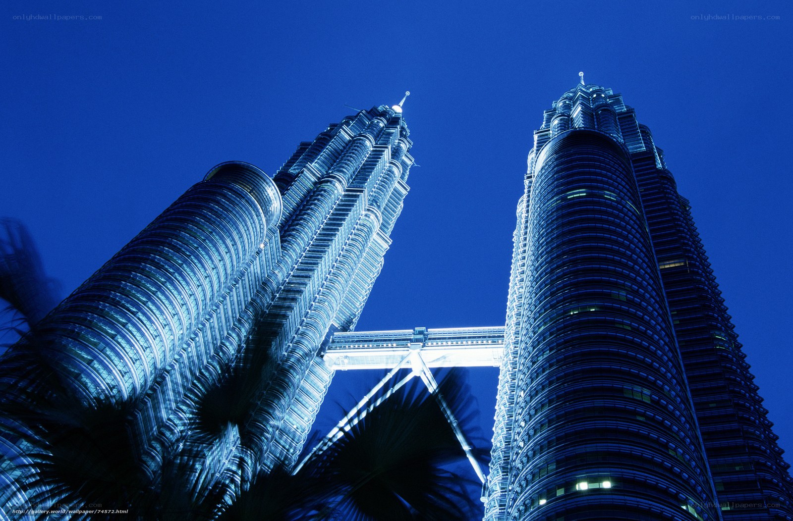 Petronas Towers at night