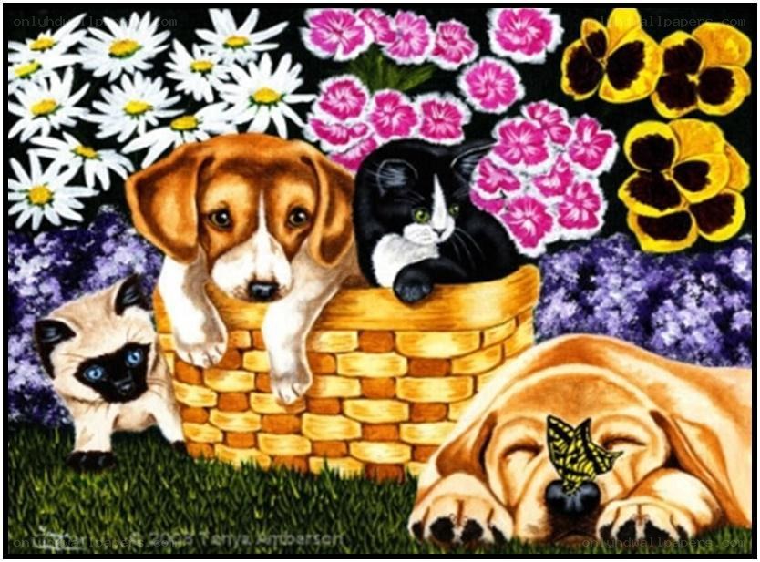 Pets in a flower garden