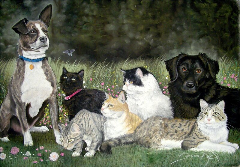 Pets in a meadow