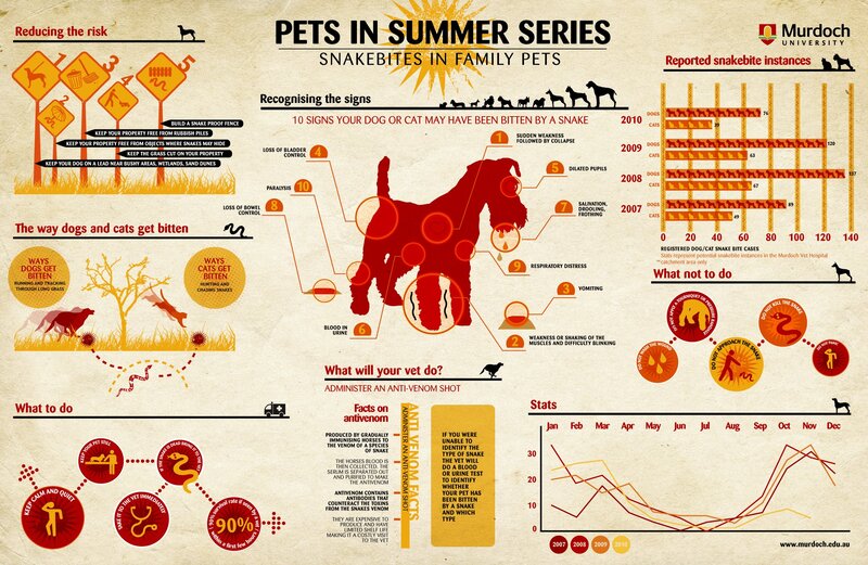 Pets in Summer Series: Snakebites