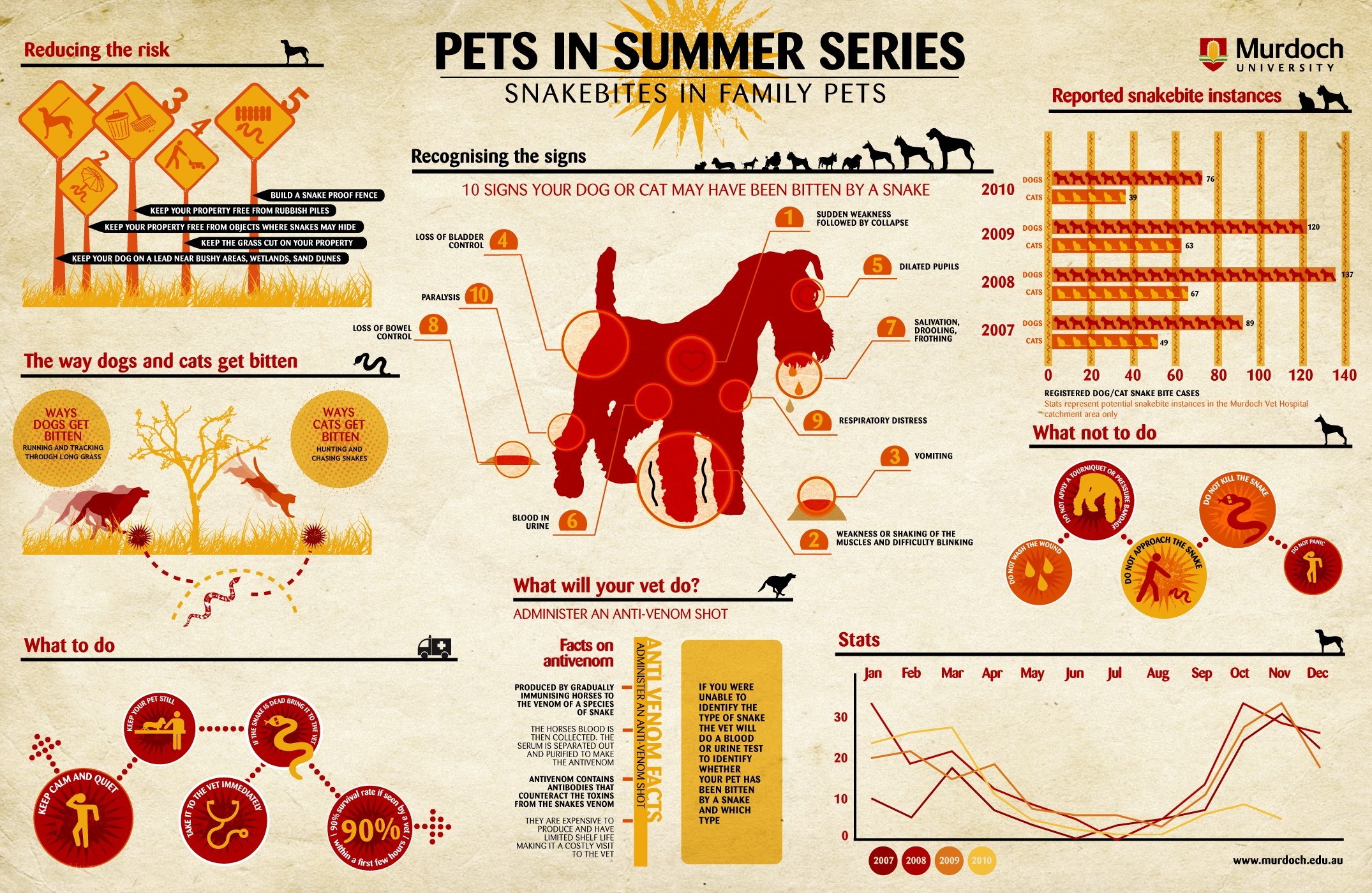 Pets in Summer Series: Snakebites