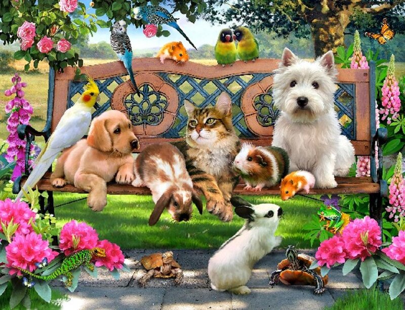 Pets on a Garden Bench