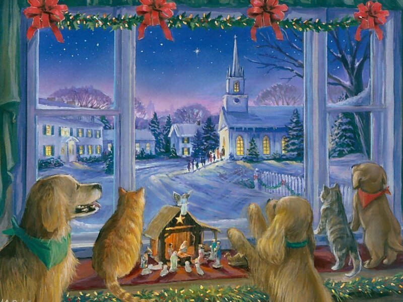 Pets watching nativity scene
