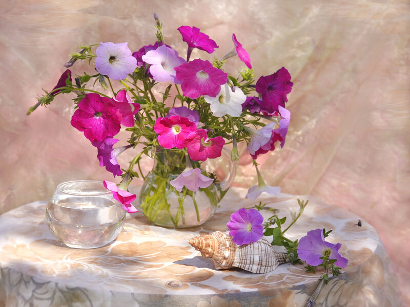 Petunia Bouquet in Vase