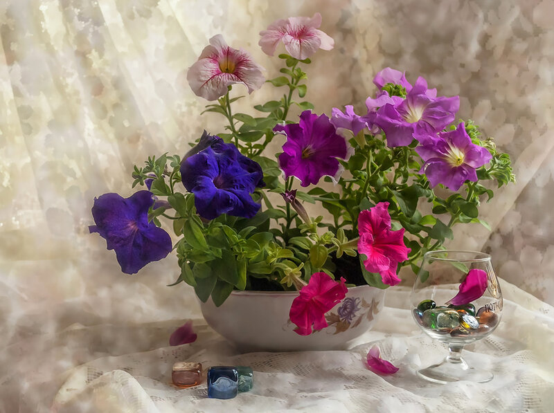 Petunia Flowers in Bowl