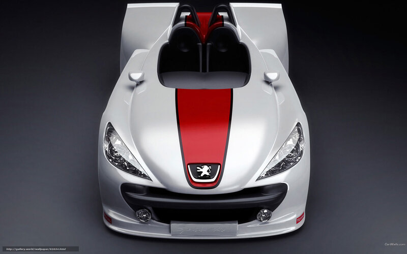 Peugeot 206 GTi race car