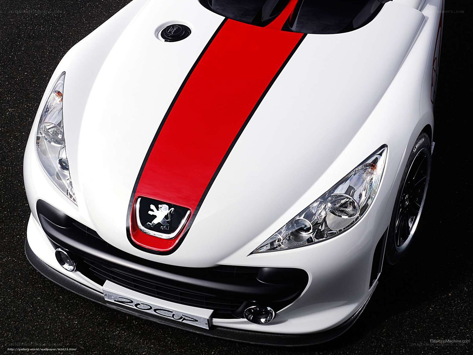 Peugeot 207 Cup race car