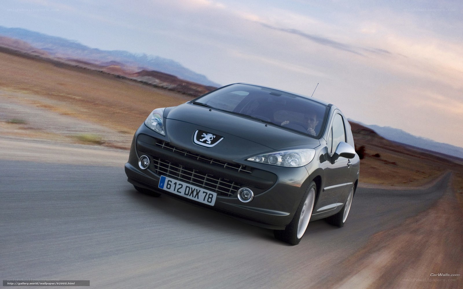 Peugeot 207 driving on desert road